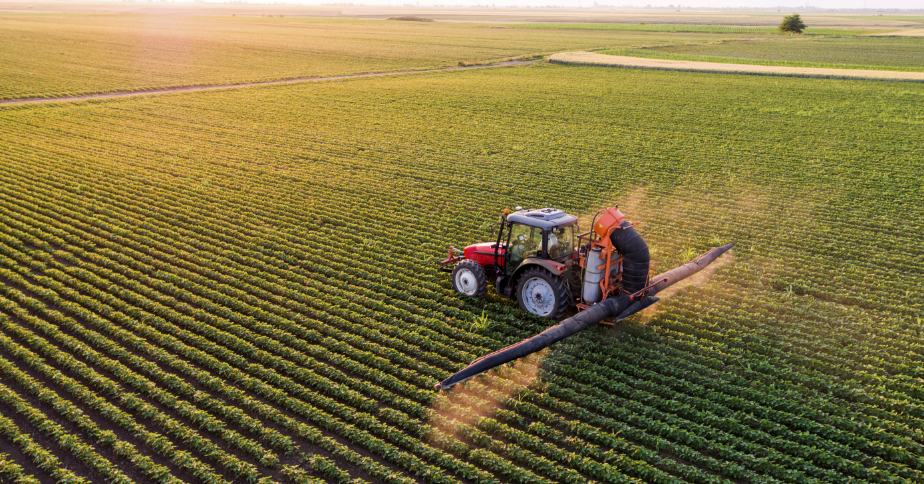 A tractor is moving across a field of grain, spraying.