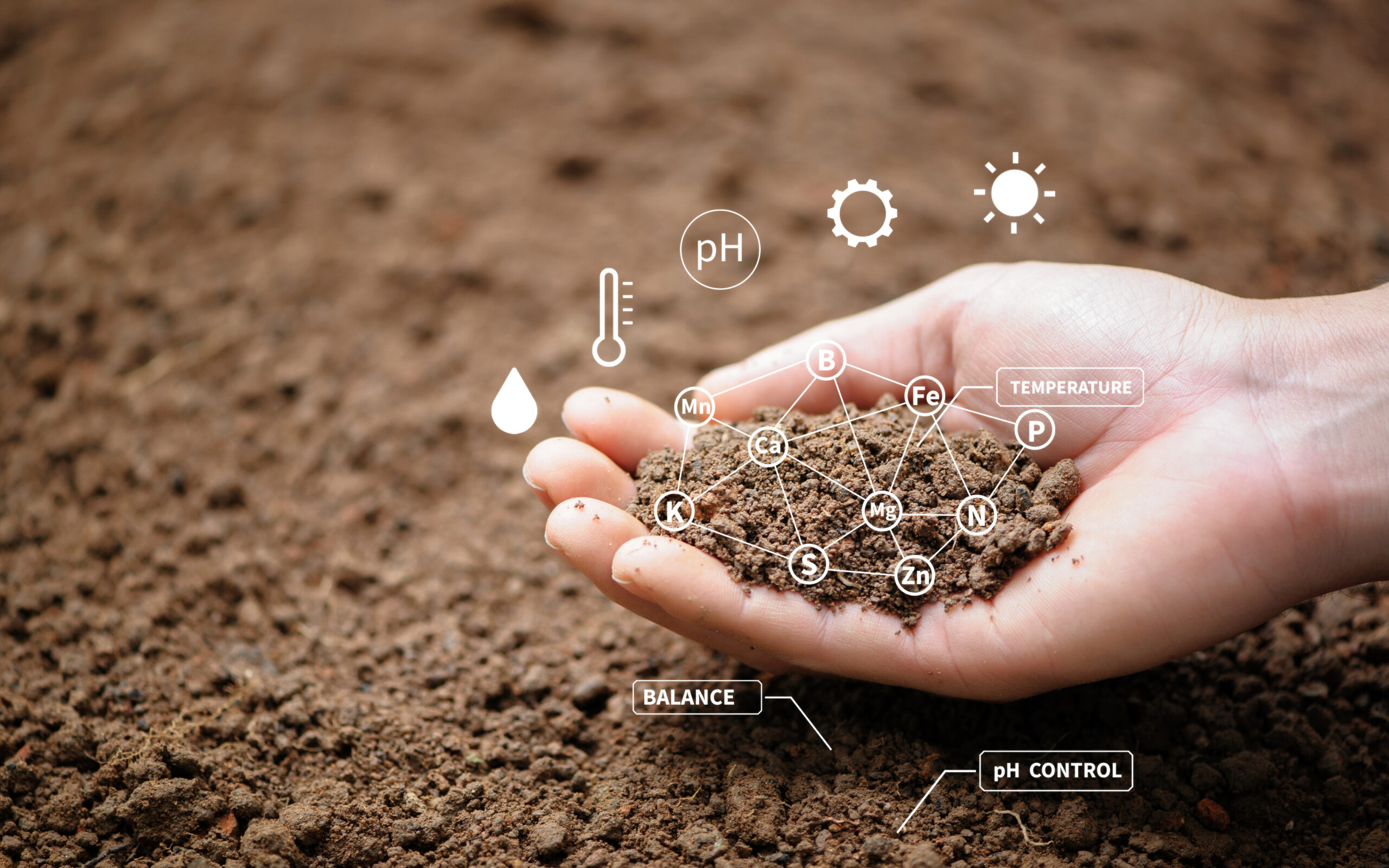 Digging Deep: Revitalizing Agriculture Through Regenerative Soil Health
