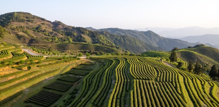 World Agri-Tech Innovation