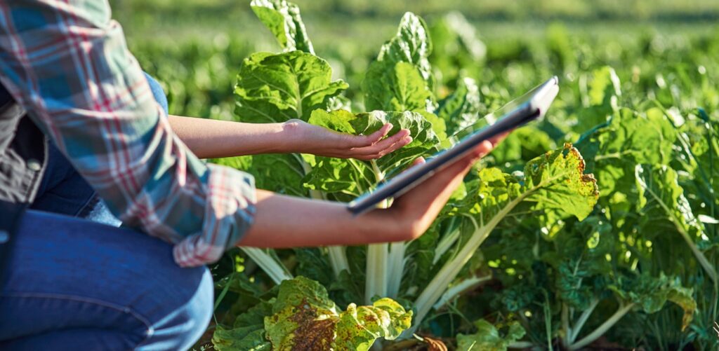 Empowering Farmers -The Realm of Agritech Mobile Applications