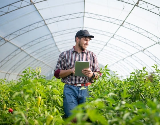 AI Process Automation for an Agricultural Cooperative