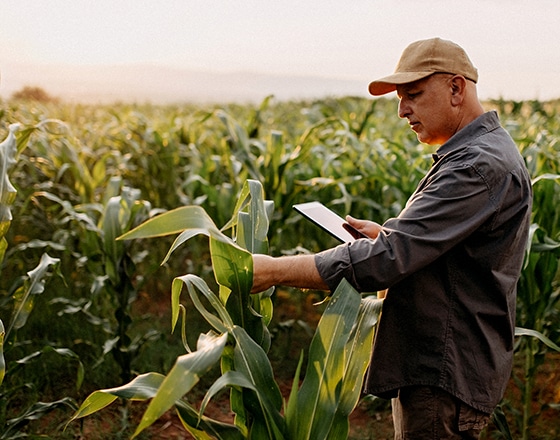 Predictive Analytics for a Global Agriculture Leader