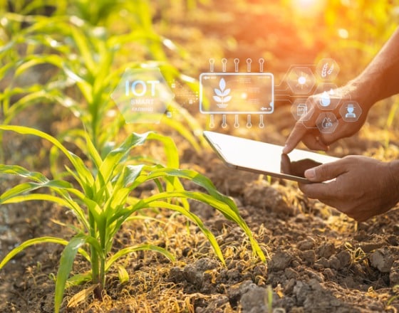 Success Story Agriculture