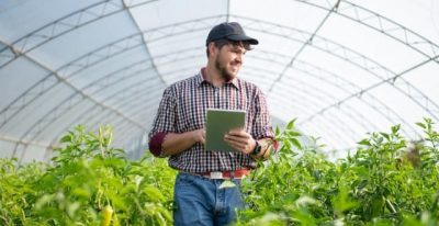 AI Process Automation for an Agricultural Cooperative