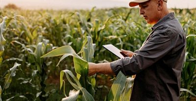 Predictive Analytics for a Global Agribusiness Leader